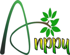 anppy.com.co